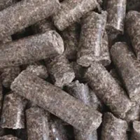 فروش تفاله چغندرقند