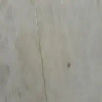 سگ پیدا شده