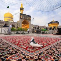 حرکت به زیارت «غریب الغربا» مشهد