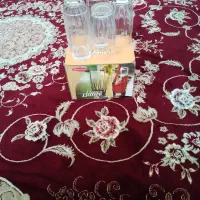 لوازم آشپزخانه|ظروف سرو و پذیرایی|نوشین شهر, |دیوار