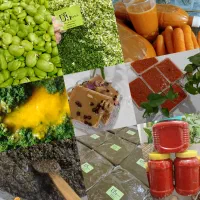 محصولات خانگی دهکده کاملا ارگانیک و بهداشتی