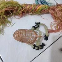 وسایل سرگرمی و بازی سگ و گربه پوزه بند همه باهم|لوازم جانبی حیوانات|رشت, چله خانه|دیوار