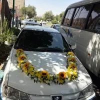 آفر ویژه ماشین عروس