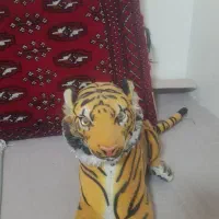 ببر سالم ‌ زیبا