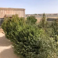 ۵۰۰ متر ویلا با ۱۱۰ متر بنا سهیلیه زعفرانیه|فروش خانه و ویلا|کرج, فاز ۱ مهرشهر|دیوار