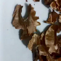 پرده گردو خشک بستهبندیشده دمنوش طبیعی و خانگی|خوردنی و آشامیدنی|گرگان, |دیوار