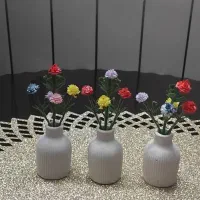 گل با گلدان دونه ایی ۵۰تومن گلدان باگلدان کوچیکن
