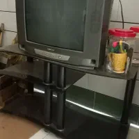 تلویزیون|تلویزیون و پروژکتور|آران و بیدگل, |دیوار