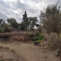 زمین مسکونی داخل بافت به متراژ 590 متر رستم آباد|فروش زمین و ملک کلنگی|رستمآباد, |دیوار