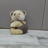 عروسک خرسی زیبا