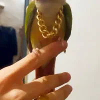 گرینچیک فوق دستی