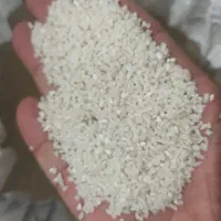 برنج نیم دانه طارم هاشمی