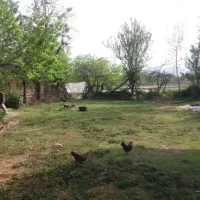 ۳۰۰ نفر خونه و محوطه قابل سکونت با امتیازات کامل|فروش زمین و ملک کلنگی|رشت, یخسازی|دیوار