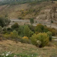 اجاره خانه|اجارهٔ خانه و ویلا|مشگین شهر, |دیوار
