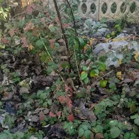 فروش-زمین-سوئیت-دار