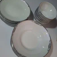 ظروف چینی پردیس