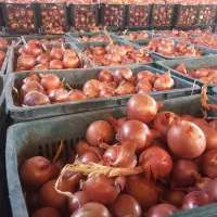 یک مغازه تجاری