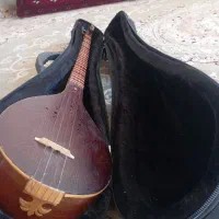 سه تار مرغوب با کاور مرغوب
