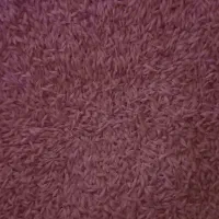 جو محلی|لوازم جانبی حیوانات|چناران, |دیوار