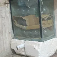 آکواریوم بزرگ با شیشه سکوریت