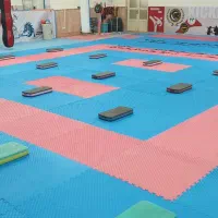 سانس باشگاه رزمی هوازی