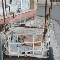 گاری بی رنگ بدون خطو خش از کمپانی ژاپن