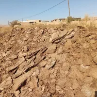 کود حیوانی گوسفند پهن سوخته|خدمات باغبانی و درختکاری|نوشین شهر, |دیوار