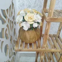 گل رومیزی