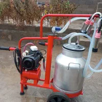 شیر دوش گاو