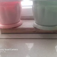 گلدان و ظرف|ظروف نگهدارنده، پلاستیکی، یکبارمصرف|شیروان (خراسان), |دیوار