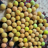 ۷۰ عدد توپ تنیس سالم تکی و عمده