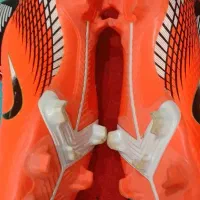 کفش استوک|کیف، کفش، کمربند|مسجد سلیمان, |دیوار