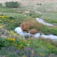 ویلا . باغ . سوئیت. اقامتگاه|اجارهٔ کوتاه‌مدت ویلا و باغ|الشتر, |دیوار