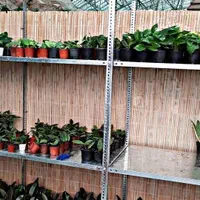 قفسه طرح قدیمی پیچ و مهره ای طوسی|فروشگاه و مغازه|آمل, |دیوار