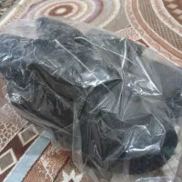 پوتین ایمنی