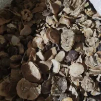 موسیر|خوردنی و آشامیدنی|اصفهان, جلفا|دیوار