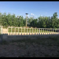 دامداری|اجارهٔ دفتر صنعتی، کشاورزی، تجاری|جوادآباد, |دیوار