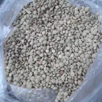 سلام عدس  خوش پخت