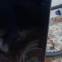 ال ای دی سامسونگ