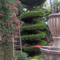 خدمات باغبانی ،هرس و غیره