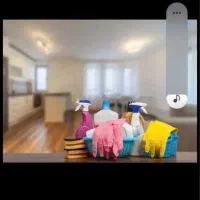 خانم جهت امور منزل