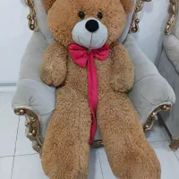 خرس ولنتاین