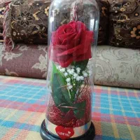 این گلدون بفروش میرسه