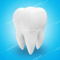 دندانپزشکی و عصب کشی (با تعرفه دولتی بیمه )|خدمات آرایشگری و زیبایی|قدس, شهر‌قدس|دیوار