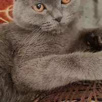 گمشده درمحدوده اسلامشهر