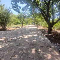 باغ-ویلا-نزدیک-به-اتوبان-محدوده-خوش-بالا-گنج-قارون