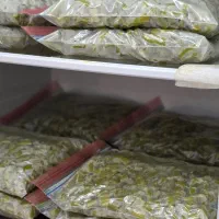 میگودریا|خوردنی و آشامیدنی|جاسک, |دیوار