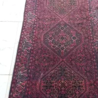 فرش کناره|فرش|رانکوه, |دیوار