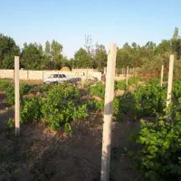 سیمانکاری،دیوارچینی،فنس کشی|خدمات پیشه و مهارت|همدان, |دیوار