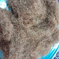 ریشه زعفران باقرمزی زعفران